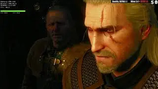 Witcher 3 - Linux - near ULTRA quality - Wine 5.4 + DXVK 1.6 - meet the Griffin
