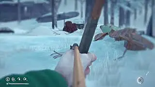 Sneaky Wolf gives me the spooks