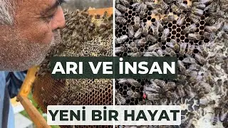 Arıya Fısıldayan Adam / Doktorlar Sen Öleceksin Dediler O Şifayı Arılarda Buldu #honey