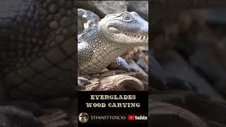 Everglades Wood Carving #shorts