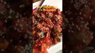 Best Tibetian / Chinese Cuisine in Mussoorie😍👌🏻| Kalsang Cafe | #chinesefood #foodshorts #viral