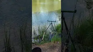 Рыбалка начинается! #Shorts