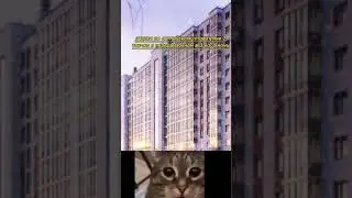 когда училка по инглишу поставила 2 за урок.Так-же я перед окном училки