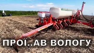 Гарні сходи?! Ні не чув. Посів і сходи соняшника 2024. Весь досвід коту під хвіст.