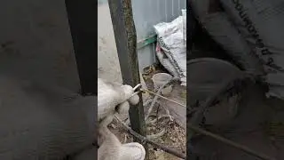 Шпалера и нижняя проволока - лайф хак.