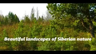 Beautiful landscapes of Siberian nature Slideshow