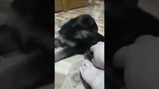 Новый сыночек «Арчи». Прошу любить и жаловать🤗❗️