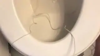 Toilet flush ASMR