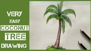 Coconut Tree Drawing | How to draw Coconut tree very easy |