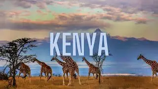 TO VISIT IN KENYA - travel guide