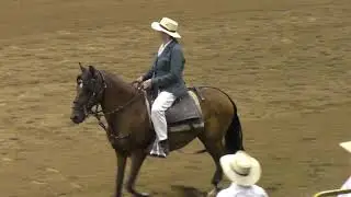 Queen City Horse Show, Denver 2019