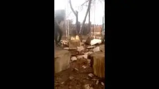 РЖАЧ! Мастер класс по рубке дров