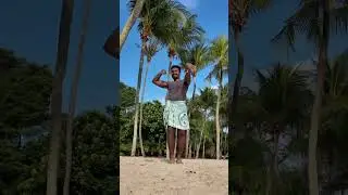 roasting Instagram reels maker 