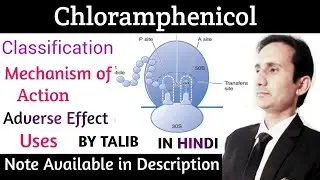 Chloramphenicol In Hindi | Definition | Classification | Mechanisms of Action |Adverse Effect| Uses