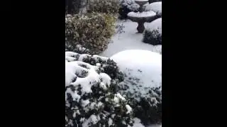 Eastern NC snow storm clean up