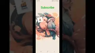Two parrots illustration theme for samsung galaxy phones.#shorts #samsung