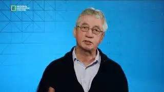 Теория справедливости в мотивации ( Есперимент с капуцинами)