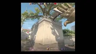 Deagle Ocelot
