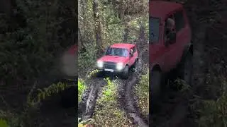 Нива на шеснаре с мужским характером 