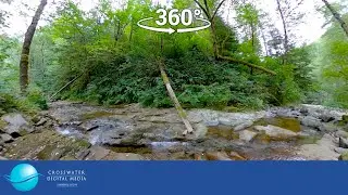 VR/360: Dougan Creek