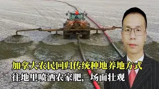 加拿大农民回归传统种地养地方式，往地里喷洒农家肥，场面壮观！