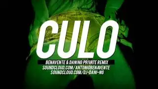 Benavente & Dani NG Vs Pitbull - Culo (Remix)