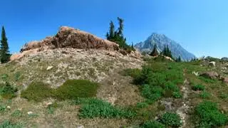 Mountain Goats in 360º