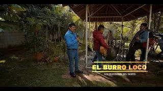 El Burro Loco - Los Sucesores del Norte