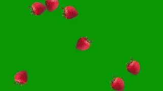 Free Green Screen : Strawberries Falling Animation : Copyright Free Video : Chroma Key