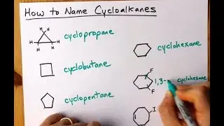 How to Name Cycloalkanes + 6 Examples