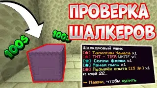 ПРОВЕРКА ШАЛКЕРОВ, ВЫПАЛ ТАЛИК КРУША? ОКУП? на  FunTime Анархия/Фантайм 1.16.5