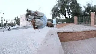 Arradi Abderrahim 2.0
