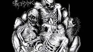 Cancer Spreading - Catarsi