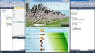 Wpf | Naby | 13 | Databinding & Converter | Chap. 13/12