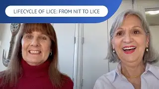 Lifecycle of Lice: From Nit To Lice | LiceDoctors