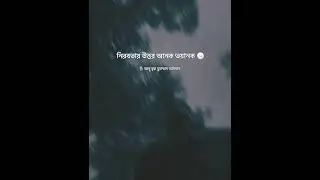 নিরবতা 😥