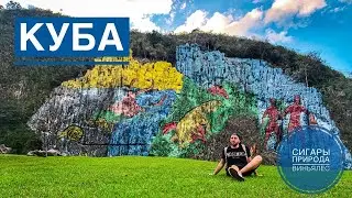 Куба. Сигары. Природа. Долина Виньялес. Крокодилы