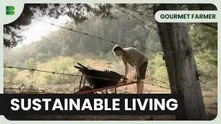 From City Life to Farm Life - Gourmet Farmer