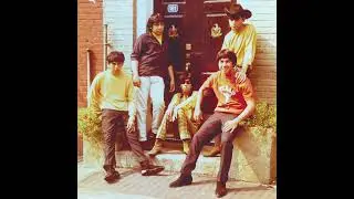 ? and the Mysterians - 96 Tears INSTRUMENTAL