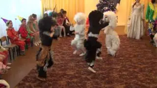 Дрессированные пони. Новогодний цирк 2013