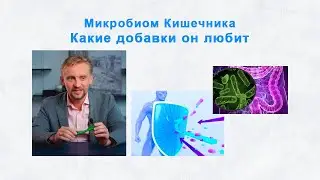 Gut microflora and its favorite supplements. Microbiologist Dmitry Alekseev.