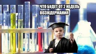 ЧТО БУДЕТ ОТ 2 НЕДЕЛЬ ВОЗДЕРЖАНИЯ