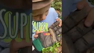 Вот так находка 🔥