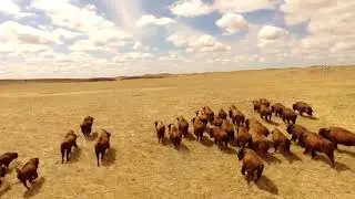 Klangphonics - Great Plains