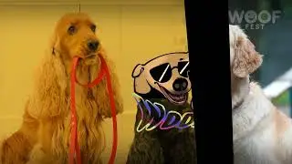 Woofest