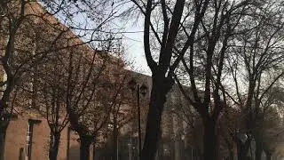 Vernissage Market | Yerevan