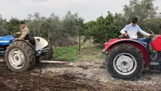 Ford 3000 VS Massey Ferguson 2615
