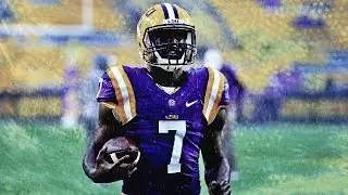 Leonard Fournette LSU Career Highlights - Lights