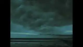 Storm - Norla Vine