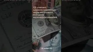 Все пограничные страны ЕС закрыли въезд россиянам на автомобилях